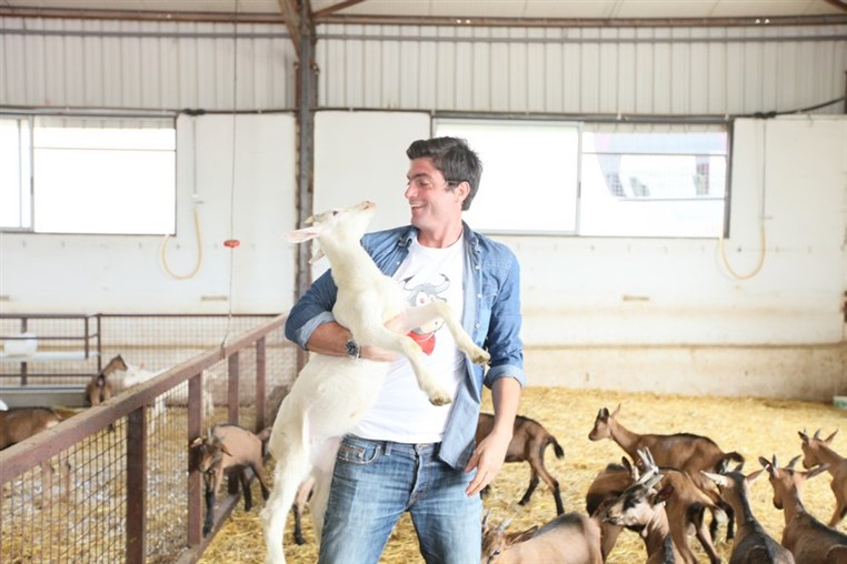 Dairy Khoury Farm Gates Opening